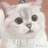 防风风风