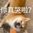 序列0808
