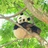 听不懂