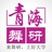 青海舞研艺考