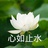 猫猫的小天蝎