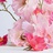 芒果