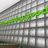 Mint_Pebble