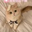 catxx