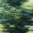 浅草墨