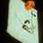 coffeejelly