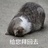 豆友7zEbUge5oI