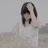蒙面小侠
