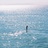 shoreline