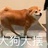 喵崽