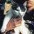 骨猫