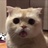 DNL季也