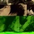 hh