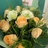 Shuang20220701