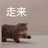 咪来🐈