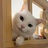 依法摸鱼大脸猫