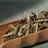 常青树茶业