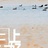 不爱上自习