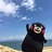 海边一只熊