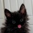 lilio