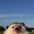 Aziraphale??