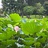 豆友6ids37NgUs