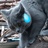 搬砖养猪日记