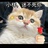 豆友266236614