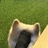 focusdowndown