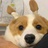 热