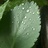 豆友Y1lCGPFv8M