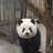 豆友5269012897