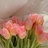 豆友s3_s78wdx0