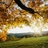 calm~