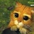 BB猫