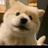 豆友brmFa4Hgg4