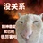 豆友3Rwv7y6xNk