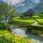 东方观察