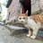 豆友__bfzRVMsE