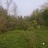 小陈