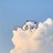 宇宙漫游家