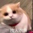 豆友FG1Ga_B_9w