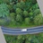 驿路梨花一剑仙