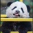 哦 然后呢