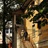 路陪你演戏