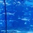豆友hEIVUSoi2E