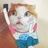小猪猪涨芝士