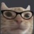 绿瞳猫猫控