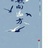 阿宁