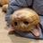 祀元